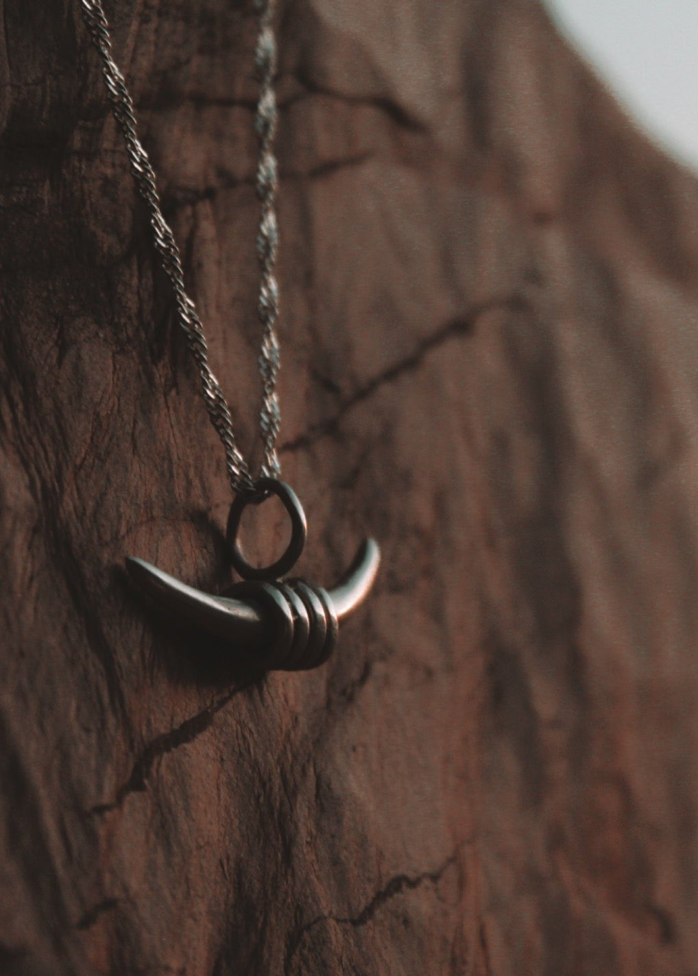 THE LIBRA'S HORN image 2