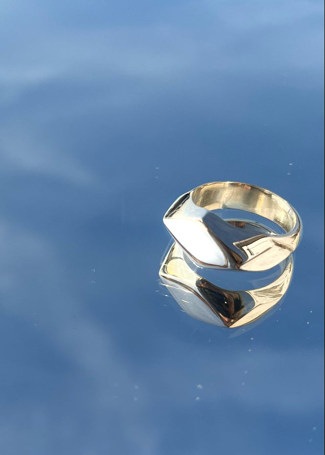 AITHEX SIGNET image 3