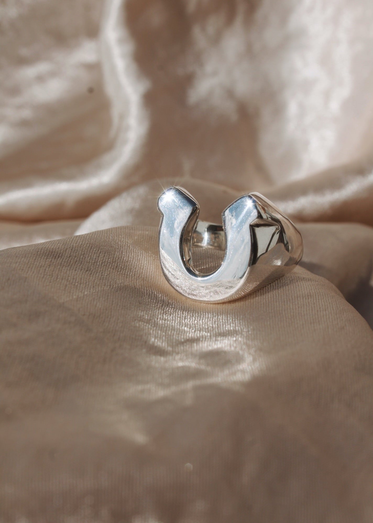 HORSESHOE SIGNET image 0
