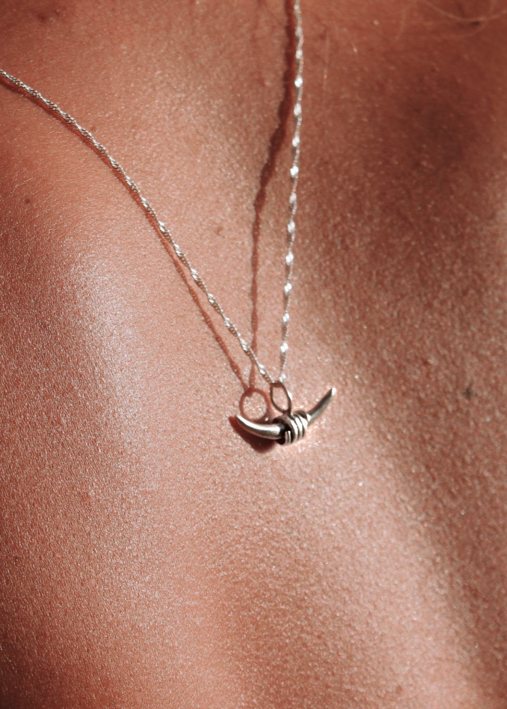 THE LIBRA'S HORN image 0