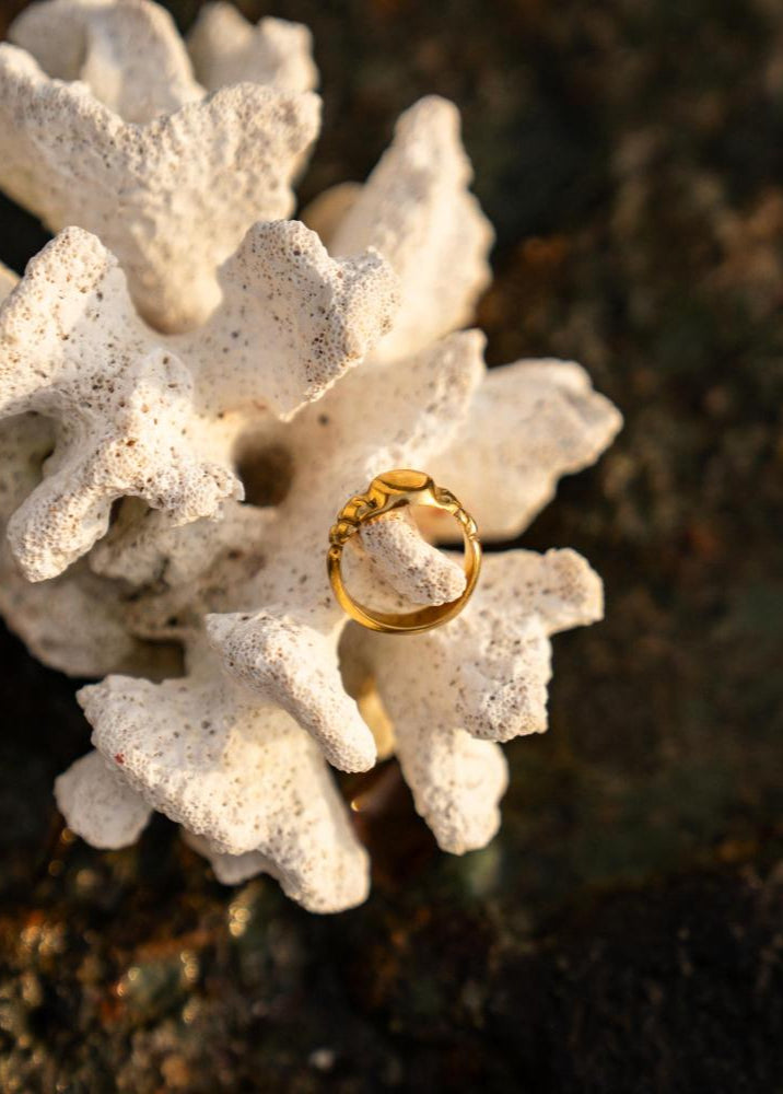 ANTIQUE SIGNET | GOLD image 10
